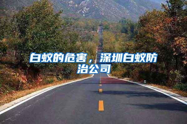 白蟻的危害，深圳白蟻防治公司