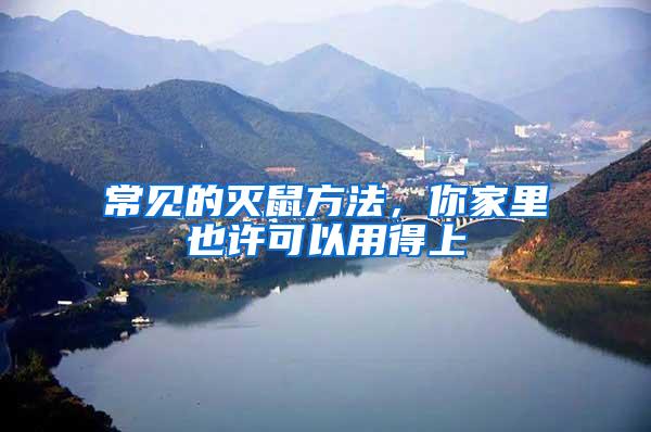 常見的滅鼠方法，你家里也許可以用得上