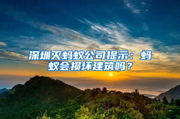 深圳滅螞蟻公司提示：螞蟻會損壞建筑嗎？