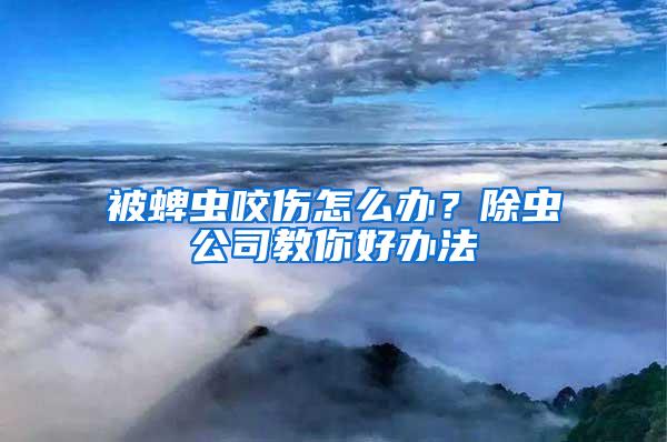 被蜱蟲(chóng)咬傷怎么辦?除蟲(chóng)公司教你好辦法