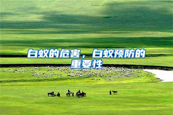 白蟻的危害，白蟻預防的重要性