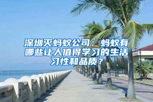 深圳滅螞蟻公司：螞蟻有哪些讓人值得學(xué)習(xí)的生活習(xí)性和品質(zhì)？