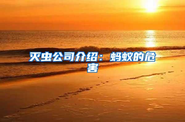滅蟲(chóng)公司介紹:螞蟻的危害